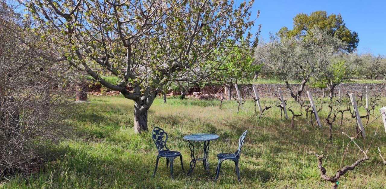 Il Vigneto Sole&Luna Con Piscina Privata Martina Franca Eksteriør bilde