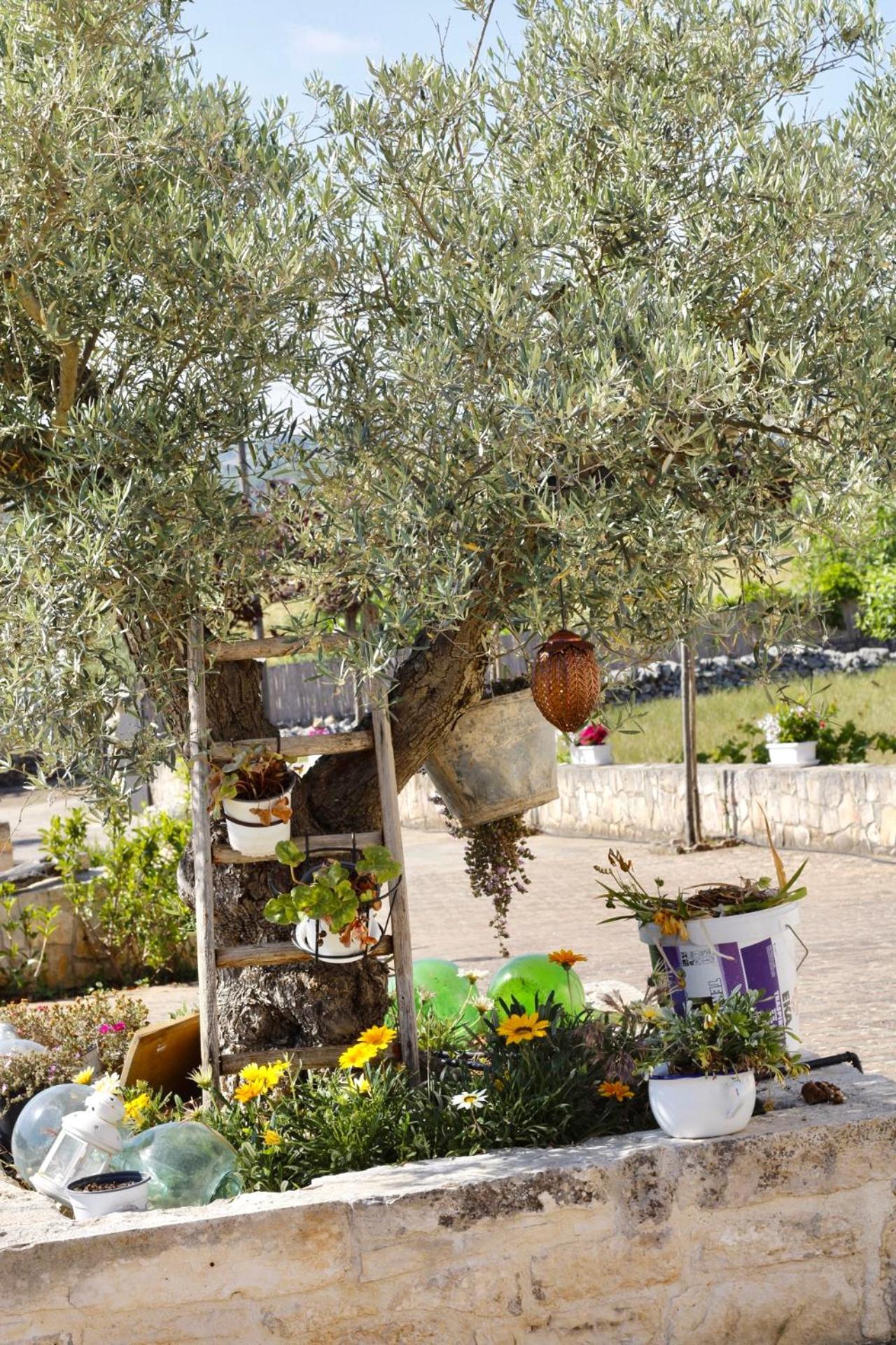 Il Vigneto Sole&Luna Con Piscina Privata Martina Franca Eksteriør bilde